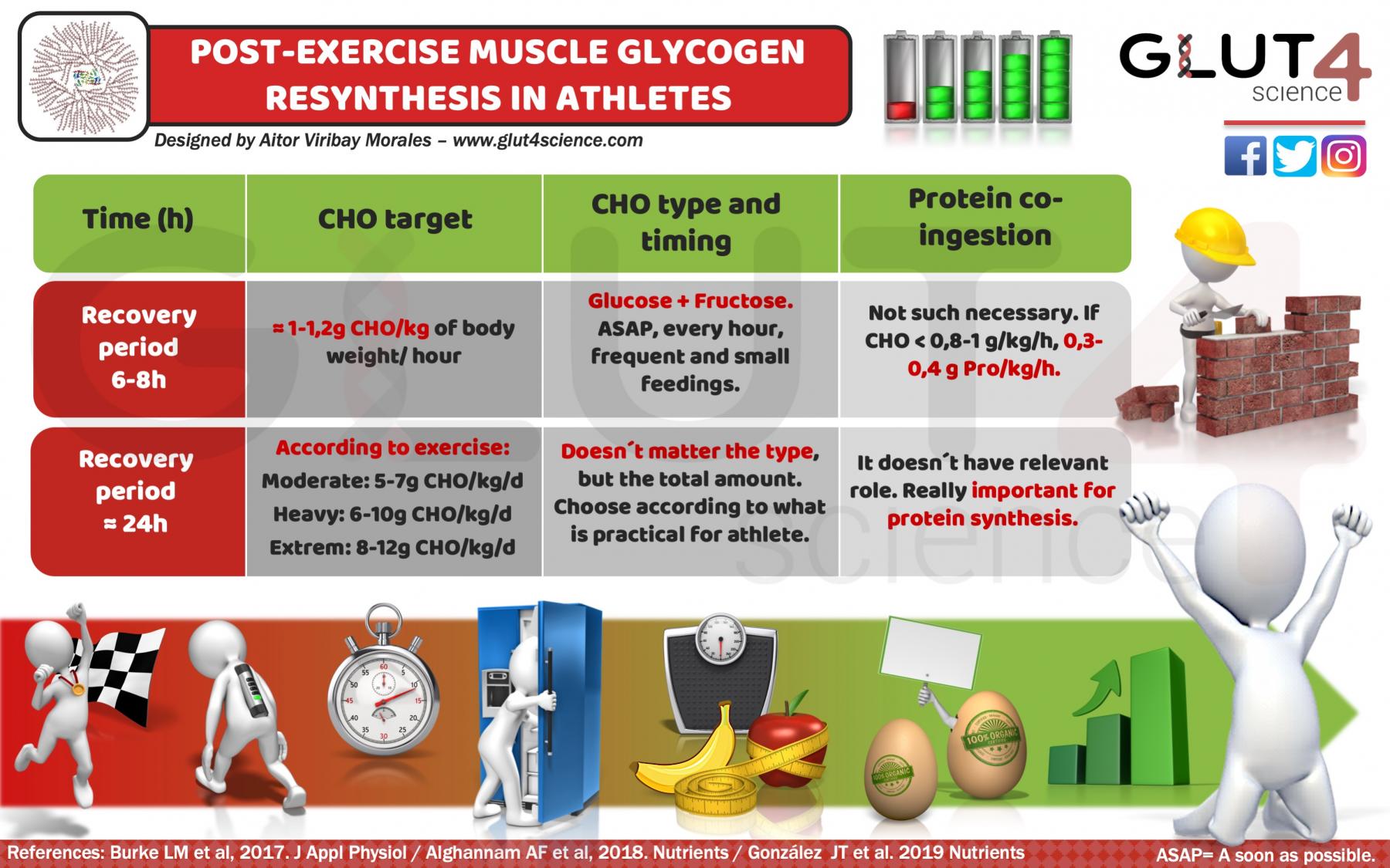 Glycogen resynthesis after exercise